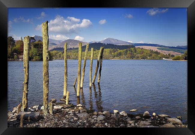 Old wooden poles on Derwent Water Framed Print by Stephen Mole