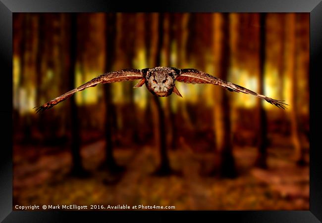 In Your Face Framed Print by Mark McElligott