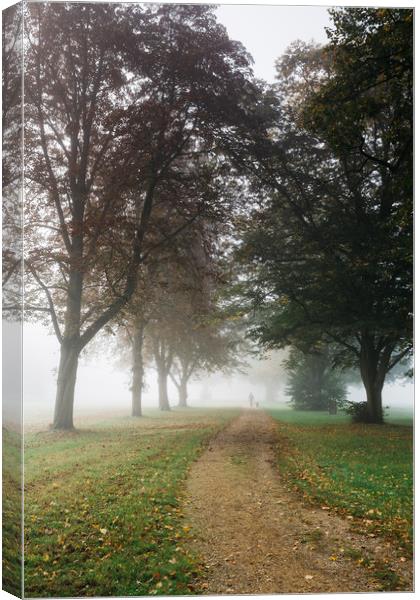 Female walking her dog in early morning fog betwee Canvas Print by Liam Grant