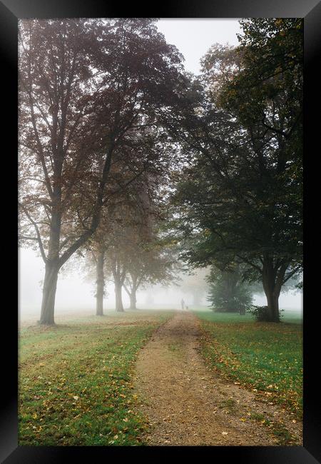 Female walking her dog in early morning fog betwee Framed Print by Liam Grant