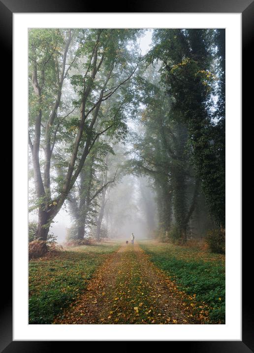 Female walking her dog in early morning fog betwee Framed Mounted Print by Liam Grant