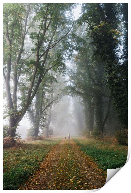 Female walking her dog in early morning fog betwee Print by Liam Grant