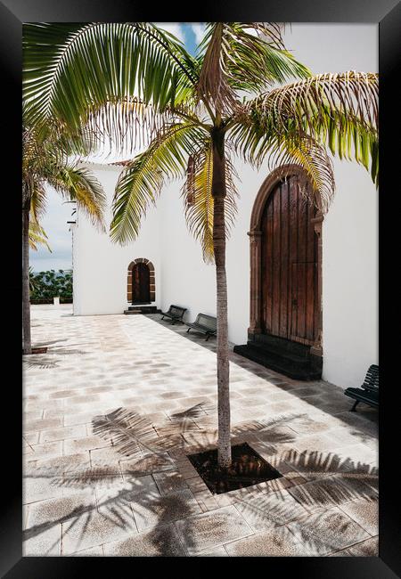 Palm tree growing in the street. La Palma, Canary  Framed Print by Liam Grant