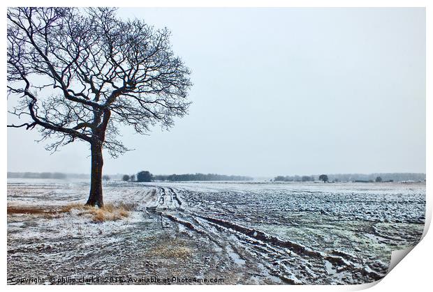 Winter Snow on  Farmland Print by philip clarke