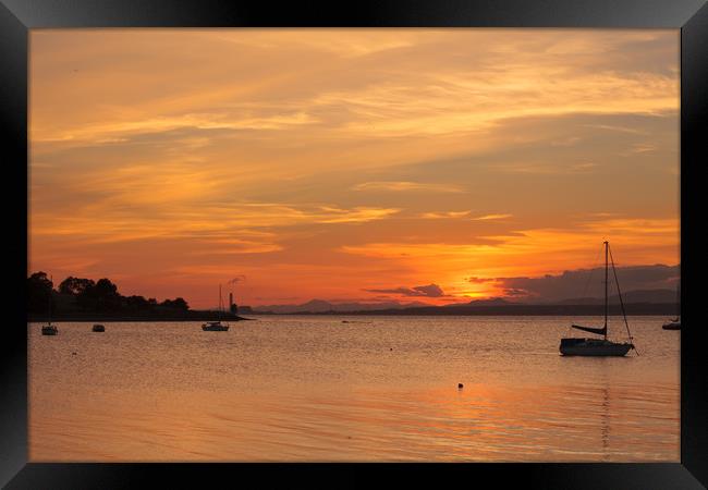 Golden Sunset over the River Forth Framed Print by Tommy Dickson