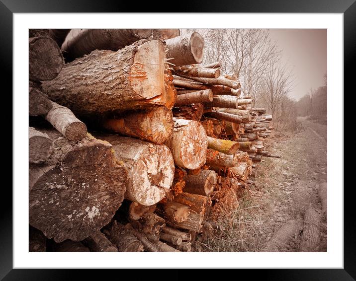 stacked logs Framed Mounted Print by paul ratcliffe