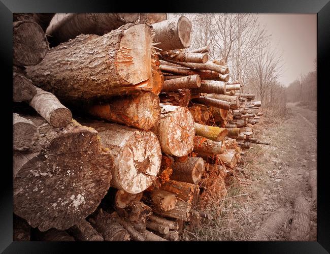 stacked logs Framed Print by paul ratcliffe