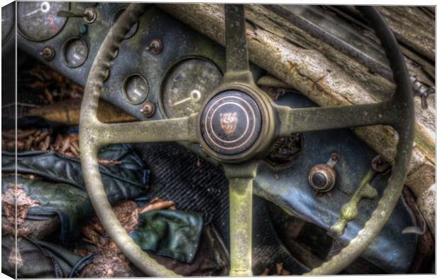Old cat wheel Canvas Print by Nathan Wright