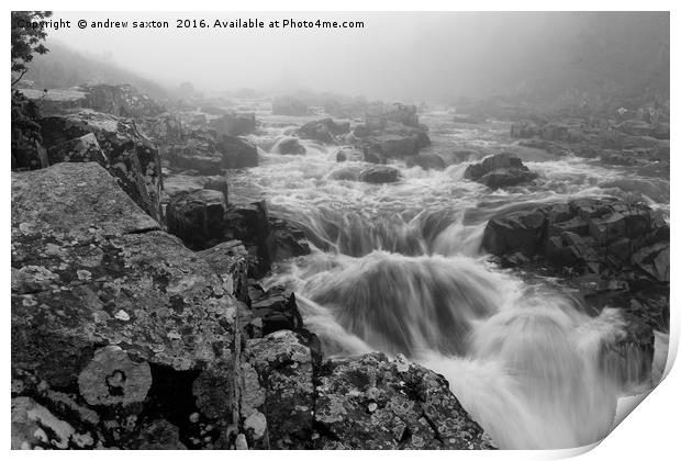 MISTY UP HERE Print by andrew saxton