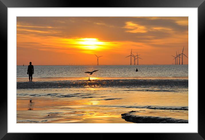 out at sea Framed Mounted Print by sue davies