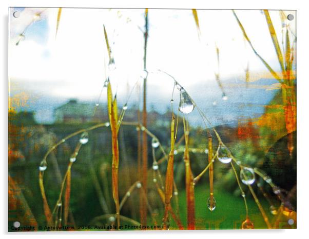 Raindrops  Acrylic by Antoinette B