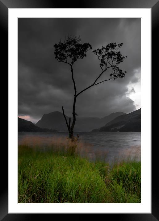 Buttermere Tree Framed Mounted Print by Paul Andrews
