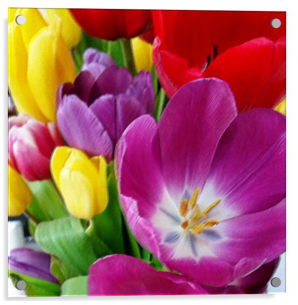 Pastel colored tulips Acrylic by Marinela Feier