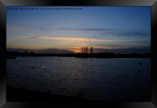 Abberton Reservoir Essex Framed Print by Diana Mower