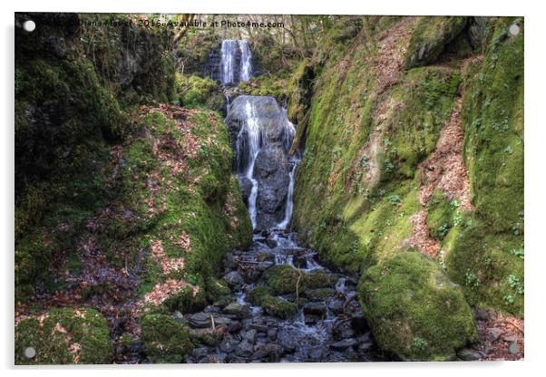 Clampit Falls Devon Acrylic by Diana Mower