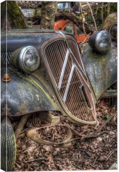 Citroen grill Canvas Print by Nathan Wright