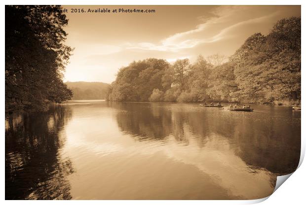 Morning on the lake Print by Mike Fendt