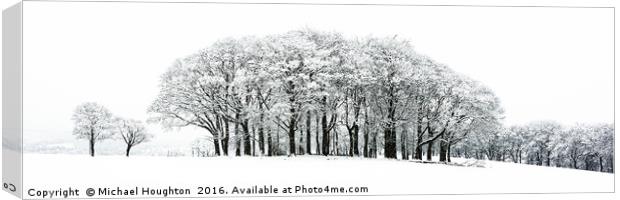 Snowy copse Canvas Print by Michael Houghton