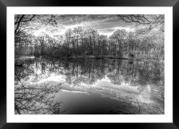 Early Morning Forest Pond Framed Mounted Print by David Pyatt