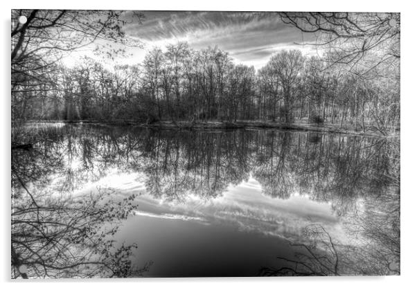 Early Morning Forest Pond Acrylic by David Pyatt