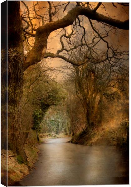 A Country Lane Canvas Print by Irene Burdell