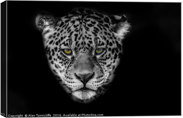 Jaguar Portrait Canvas Print by Alan Tunnicliffe