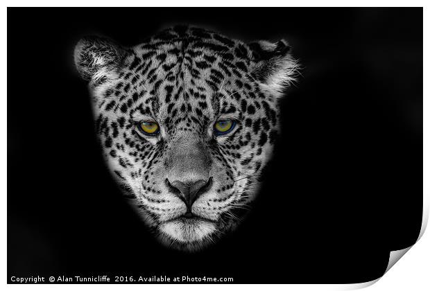 Jaguar Portrait Print by Alan Tunnicliffe