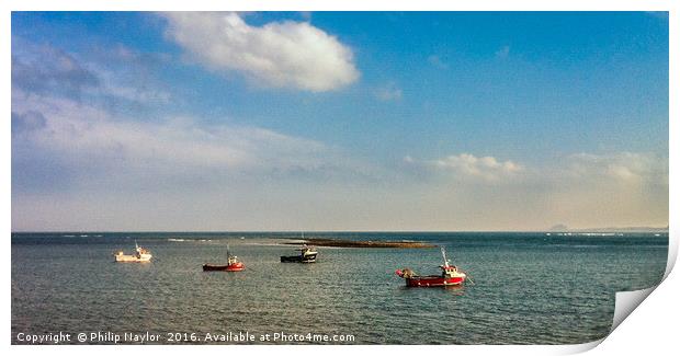 Lindisfarne fishing boats Print by Naylor's Photography