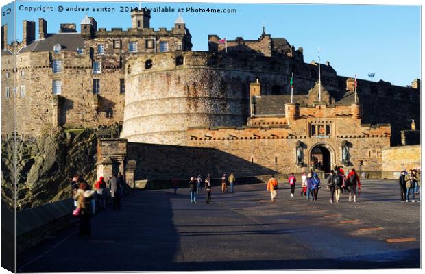 CASTLE VISITORS Canvas Print by andrew saxton