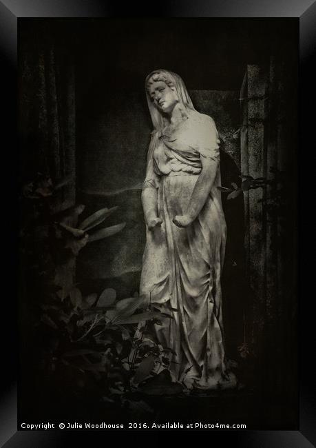 Dark Angel Framed Print by Julie Woodhouse