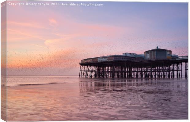 Sunset Starlings North Pier Canvas Print by Gary Kenyon