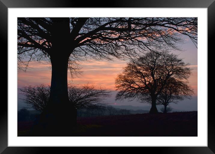 Sunset through the trees Framed Mounted Print by Pete Hemington