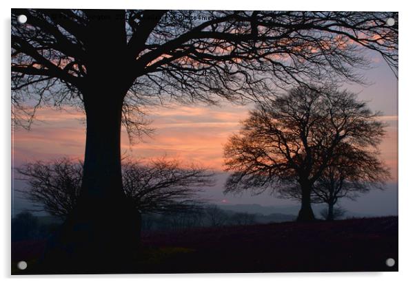 Sunset through the trees Acrylic by Pete Hemington