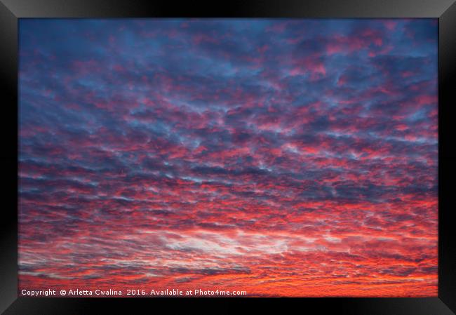 Spectacular red blue sunset sky Framed Print by Arletta Cwalina