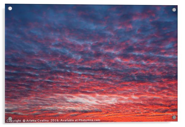 Spectacular red blue sunset sky Acrylic by Arletta Cwalina