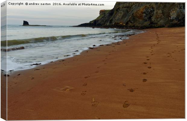 FOOTSTEPS Canvas Print by andrew saxton