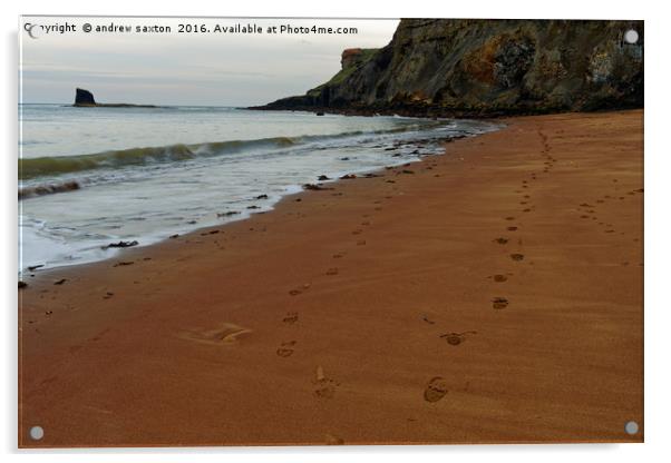 FOOTSTEPS Acrylic by andrew saxton