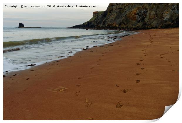 FOOTSTEPS Print by andrew saxton