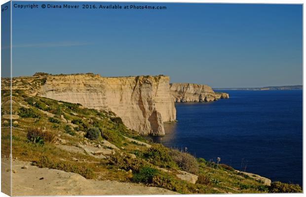 The Sanap Cliffs Gozo Canvas Print by Diana Mower