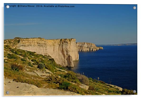 The Sanap Cliffs Gozo Acrylic by Diana Mower