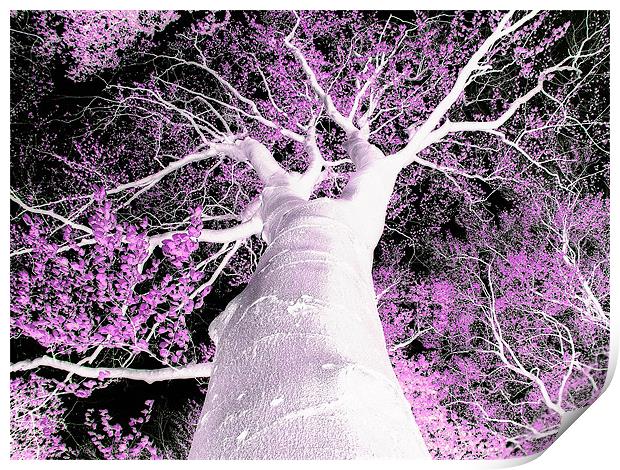 Psychedelic Tree Print by stephen walton