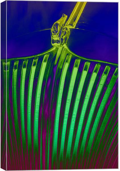 Lime Drop Canvas Print by Malcolm McHugh