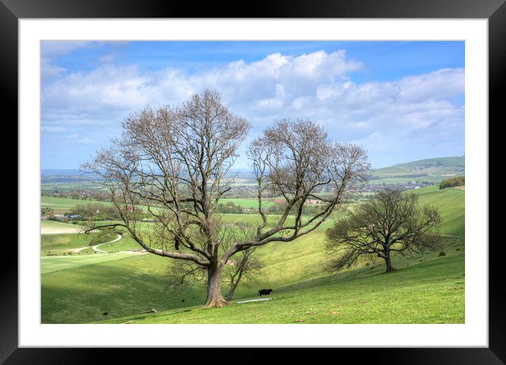 Early Spring on Steyning Bowl Framed Mounted Print by Malcolm McHugh