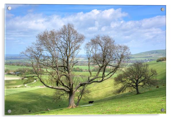 Early Spring on Steyning Bowl Acrylic by Malcolm McHugh