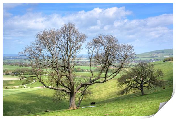 Early Spring on Steyning Bowl Print by Malcolm McHugh