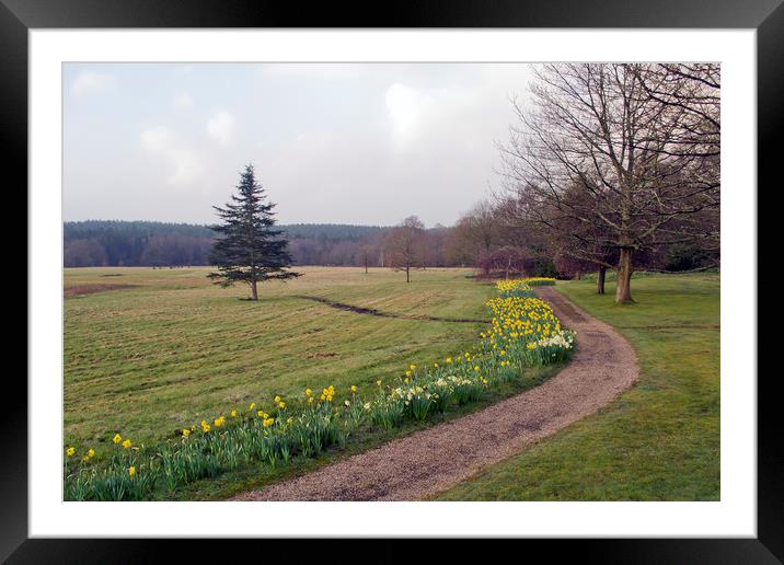 Roffey Park Framed Mounted Print by Andy Heap
