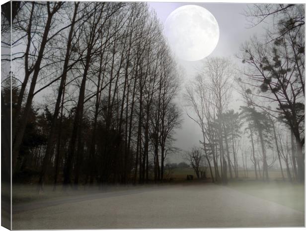 moon amongst the trees Canvas Print by paul ratcliffe