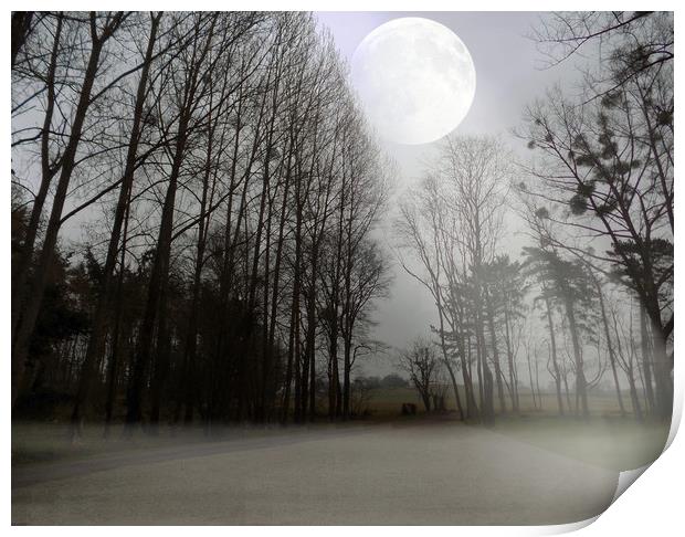 moon amongst the trees Print by paul ratcliffe