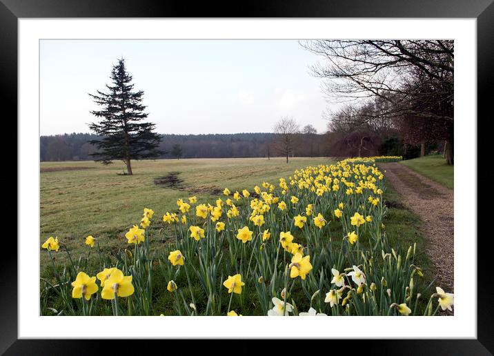 Roffey Park Institute Framed Mounted Print by Andy Heap