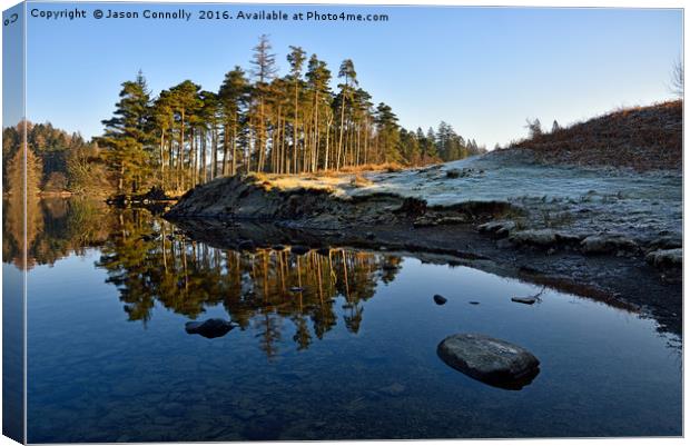 Tarn Hows Reflections Canvas Print by Jason Connolly